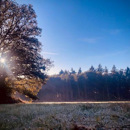 Veenhuizen Klein Soestdijk Bed & Breakfast エクステリア 写真