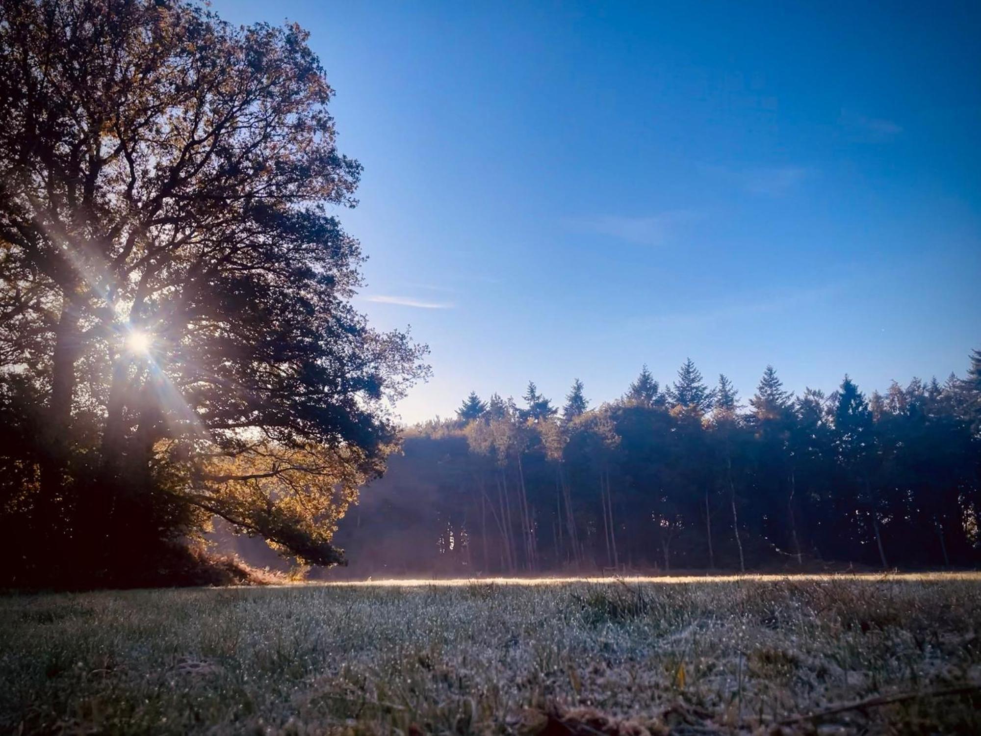 Veenhuizen Klein Soestdijk Bed & Breakfast エクステリア 写真